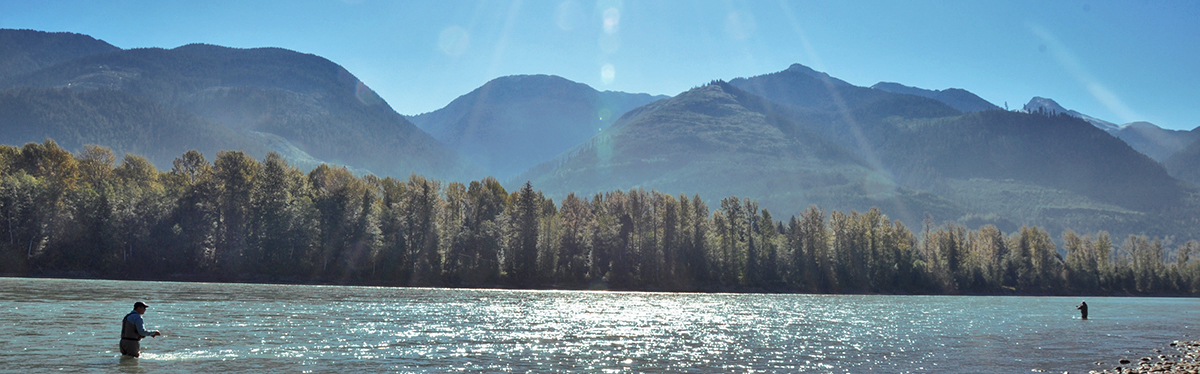 Skeena River Fishing