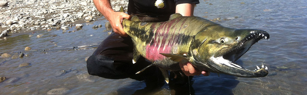 Deep Creek Lodge Salmon Fishing